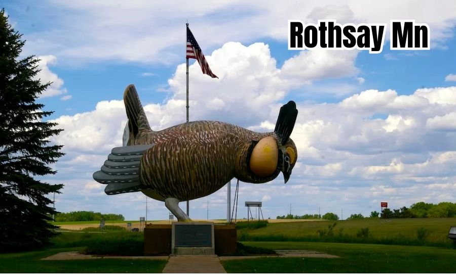 Rothsay MN