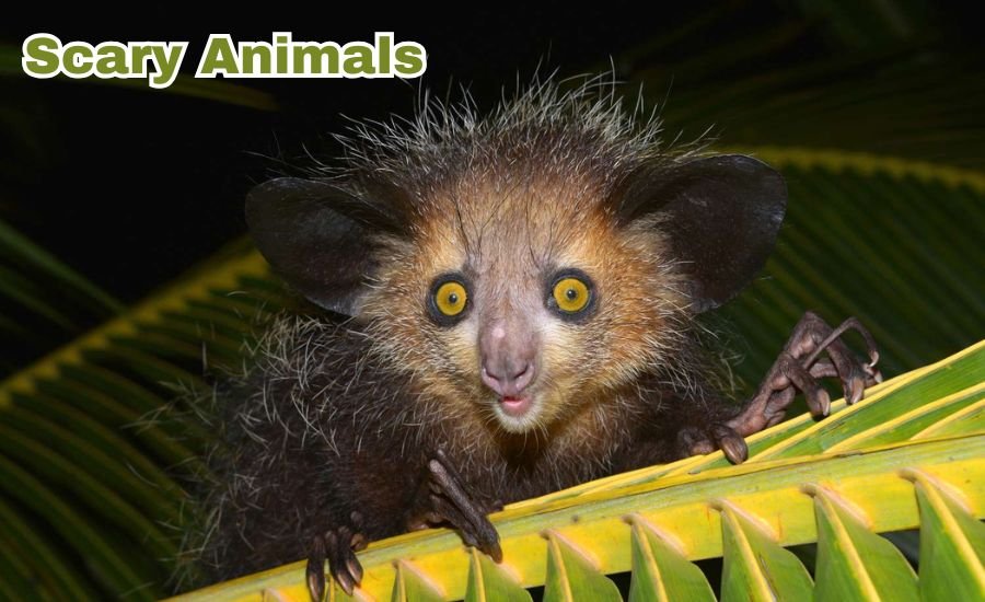 scary animal